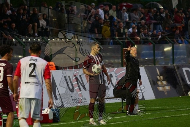 BFC Dynamo vs. Hallescher FC 083 | mythos-online-redaktion