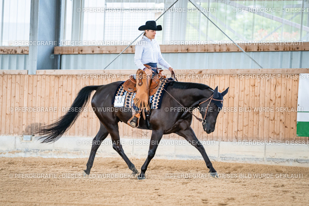 DSC08277 | Pferdegrafie