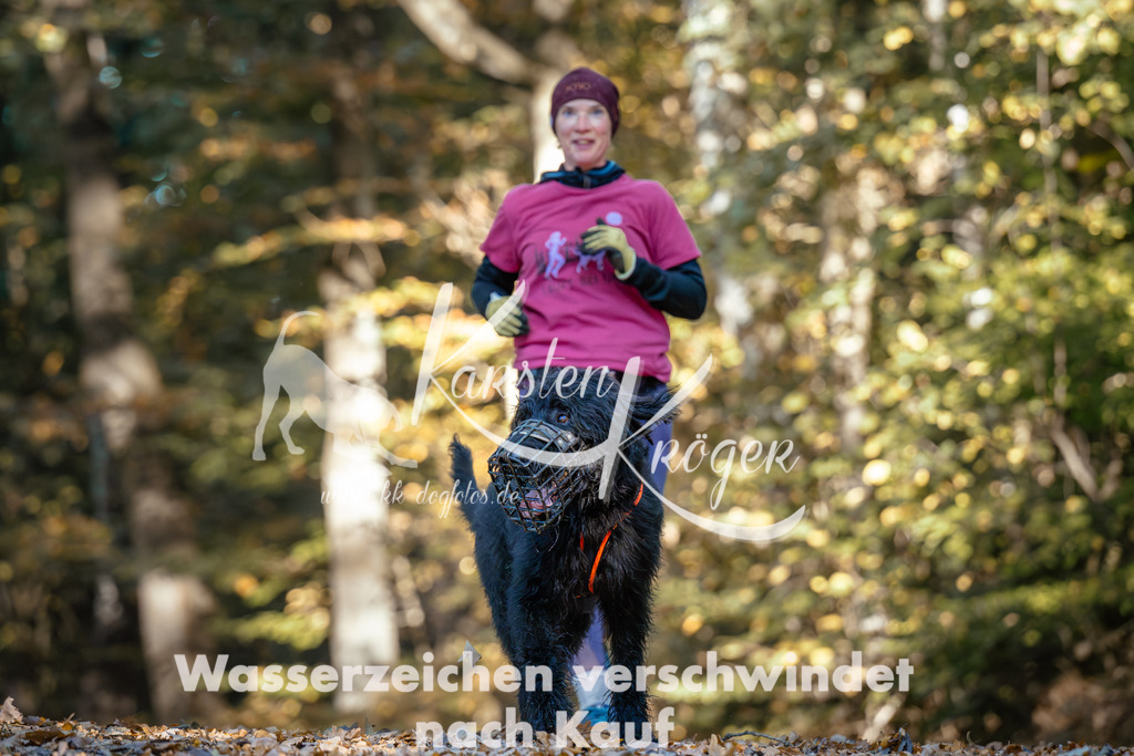 1042_ZZ90748 | kk-dogfotos