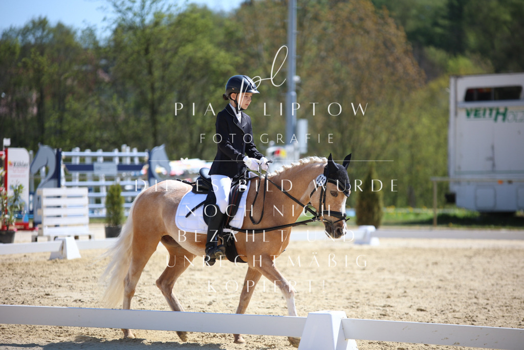 IMGT0632 | pl-fotografie