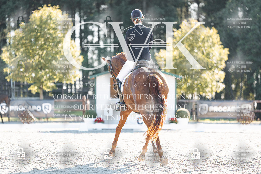 CK906959 | Turnierfotografie Pferdefotografie Trier Rheinland-Pfalz Pferdesport Reitsport Tierfotografie Sportfotografie Pferdevideo Pferdevideografie Equestrianvideography equestrianphotography  - Realisiert mit Pictrs.com