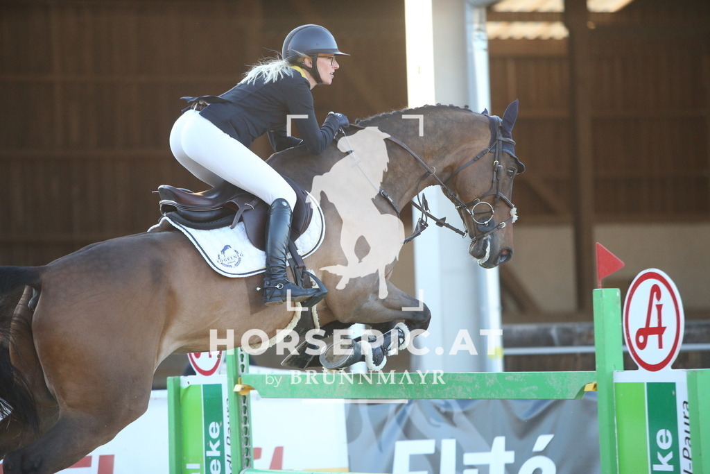 PP016558 | Willkommen bei Brunnmayr - Design & Fotografie – Ihrem Spezialisten für Reitturniere und Pferdeveranstaltungen in Oberösterreich, Salzburg und Bayern! Seit über 17 Jahren sind wir leidenschaftlich dabei.