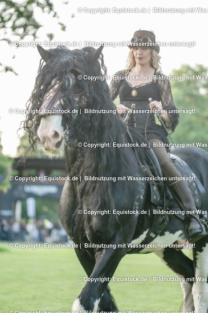 20230526_Pferdenacht_0316 | equistock