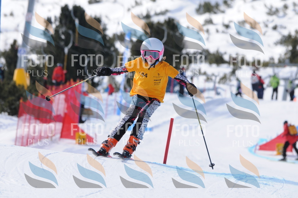 C7267 | holidayphoto