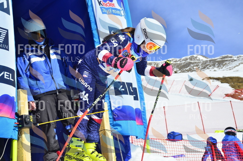 _ELE0719 | holidayphoto