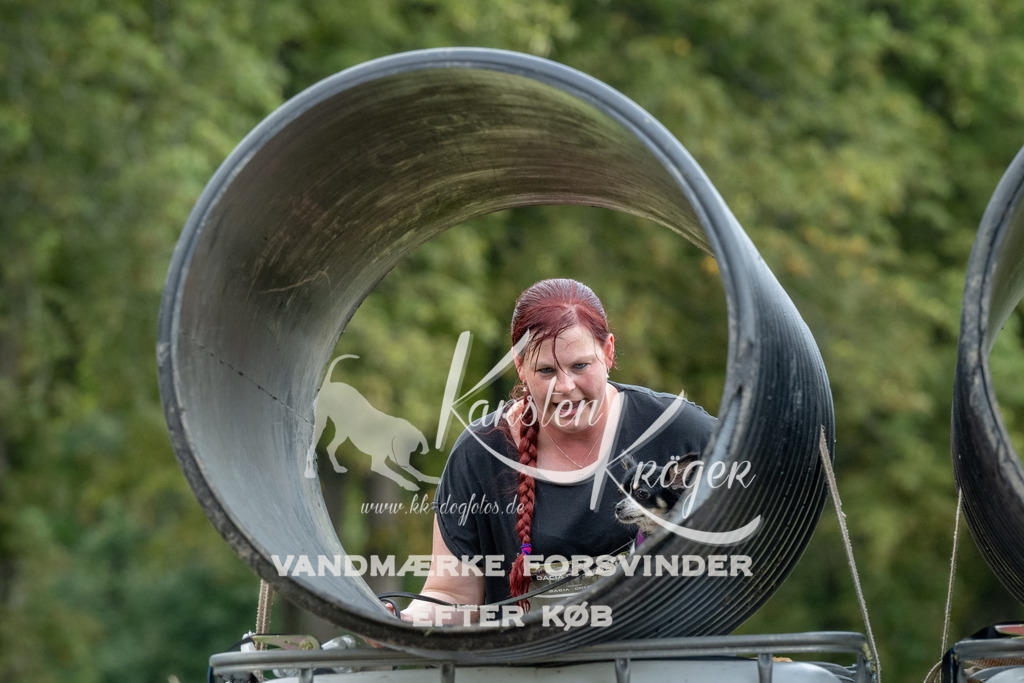 1129_ZZ94412 | kk-dogfotos