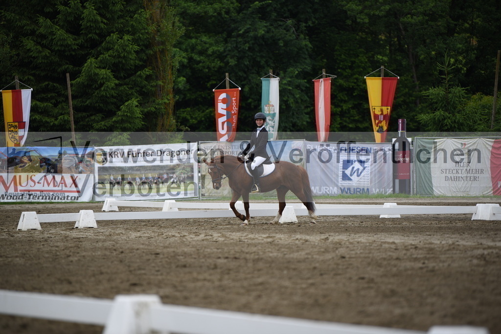 DSC_8050 | equestrian-live-com