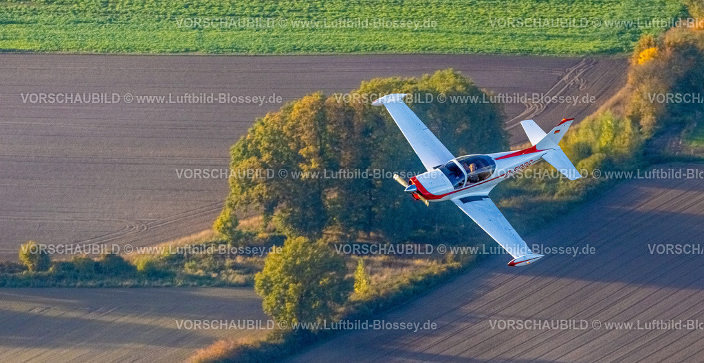 Hamm221006427marchetti_Thorsten_Wesselmann | Luftbild, Flugzeug in der Luft, Flugzeug D-EODG, Aircraft D-EODG, SIAI-Marchetti SF-260, einmotoriges Leichtflugzeug, Bäume in Herbstfarben, Heessen, Hamm, Ruhrgebiet, Nordrhein-Westfalen, Deutschland
