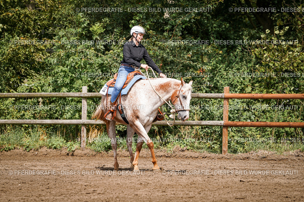 DSC07325 | Pferdegrafie