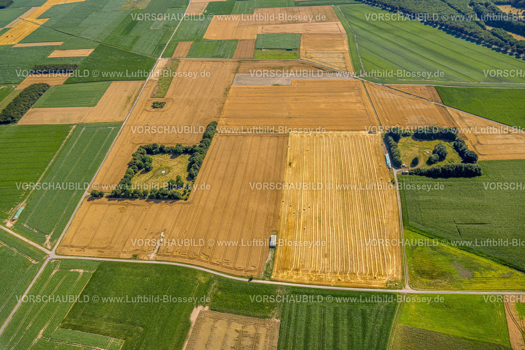 Duisburg230706866 | Luftbild, Landwirtschaftliche Felder, NSG Binsheimer Feld, Baerl, Duisburg, Ruhrgebiet, Nordrhein-Westfalen, Deutschland