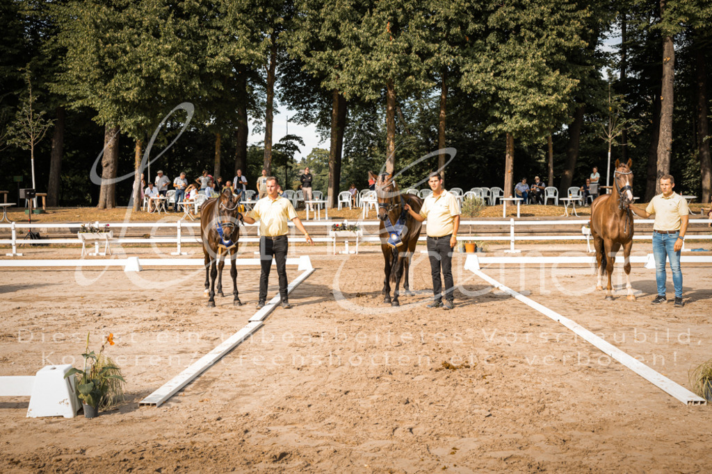 FrER00286 | Leoni Ertmer Photography - Realisiert mit Pictrs.com