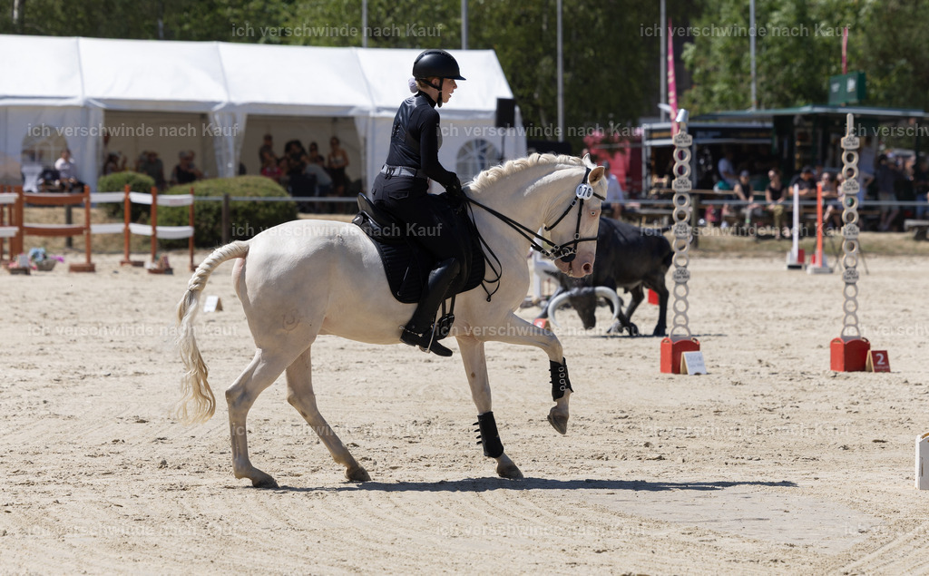 WM_Speed_Junioren_76_KerstinBernhardt-5 | working equitationturnier fotograf videograf stoibphotography marixx film working equitation deutschland reitsport turnierfotografie eventfotografie equestrian events