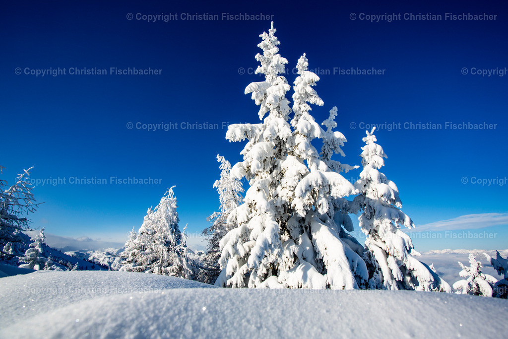 Fotos_Copyright_Chri_Fischbacher_Druck-76 | Bildershop Chri Fischbacher - Realisiert mit Pictrs.com