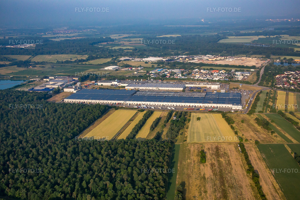 Luftbild: Goodyear Dunlop Tyres Germany in Philippsburg im Bundesland Baden-Württemberg in Deutschland. Foto: IMG_080517.jpg vom 12.06.2015 durch Werner Riehm/FLY-FOTO.de