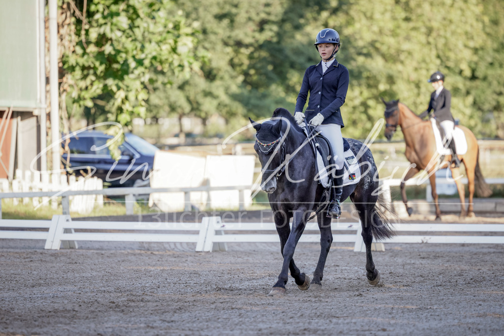 20250906-_3LI2776 | Tierfotografie Pferde, Hunde, Katzen, Haustiere.
Turnierfotografie Reitturniere, Reiten, Springreiten, Dressur in Hanau, dem Main-Kinzig-Kreis und dem Rhein-Main- Gebiet um Frankfurt