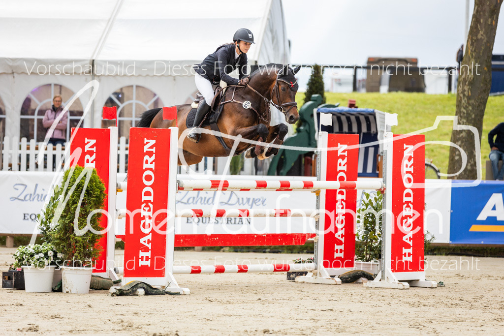 BHO-2PhSpr-M-050 | MomenTaufnahmen Pferdesportfotos