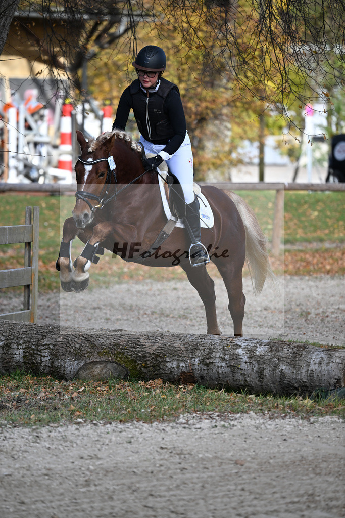 Kat-Nr. 6 Wan D or-E v. Wolf HU-A_Gruber_43250588 | hf-fotografie - Realizzato con Pictrs.com