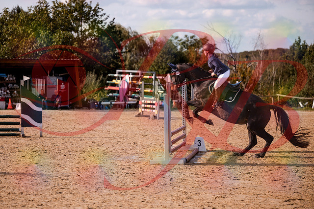 2026_10_03_Siefer-Hof_160106_Z81_81742240 | Professionelle Reitsport-, Turnier- und Eventfotografie von Robert Broda. Galerien mit ausgewählten und bearbeiteten Bildern direkt online ansehen und bestellen.
