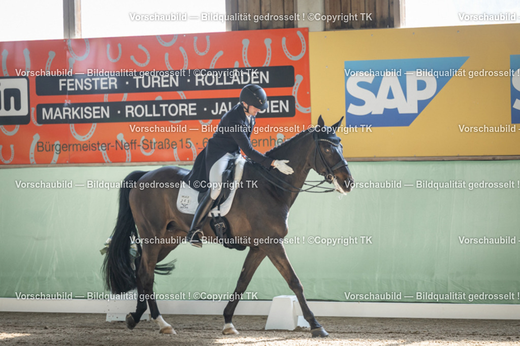 _D5A9284 | Emotionale Pferde- & People-Fotografie rund um Heidelberg, Leimen & Umgebung. Natürliche Fotos von Pferd, Mensch & Familie. Jetzt Termin sichern!