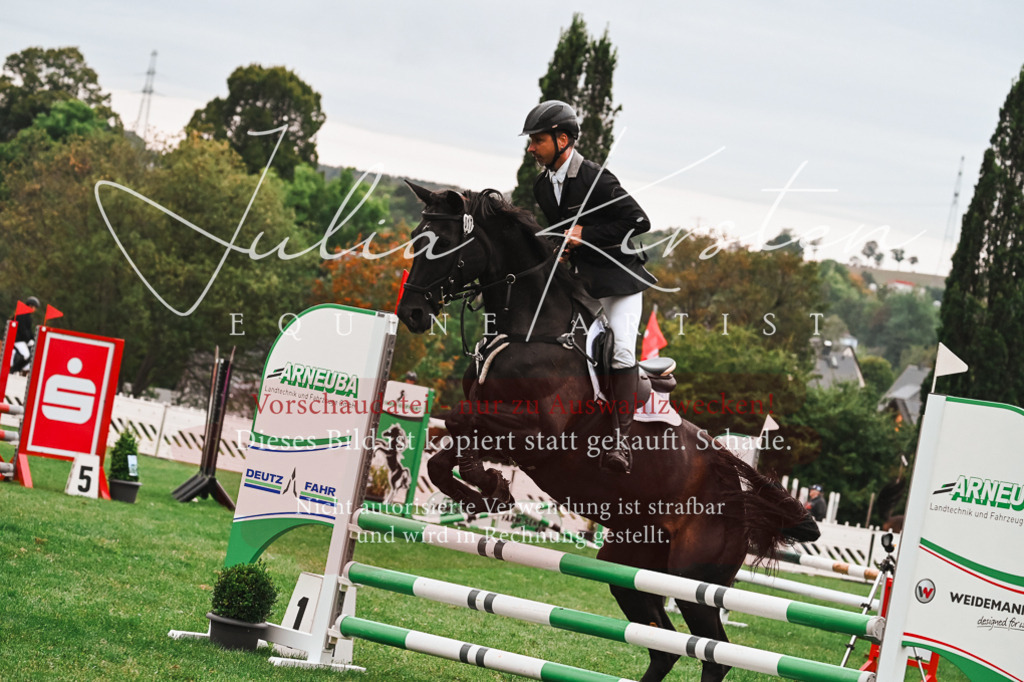DSC_6464 | Pferde- und Turnierfotografie in Westsachsen. Pferdeportraits, Auftragszeichnungen und intuitive Kunst.