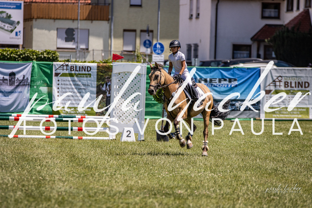 IMG_0420 | Erleben Sie dynamische Sport- und emotionale Tierfotografie in Süddeutschland mit Fotos von Paula. Spezialisiert auf Pferde- und Hundefotografie sowie Sportevents. Kontaktieren Sie mich für einzigartige und ausdrucksstarke Bilder Ihrer besonderen Momente. - Realisiert mit Pictrs.com