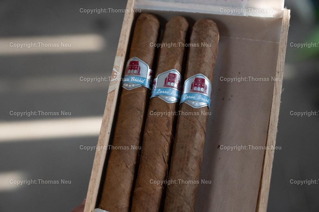 Lorsch_Tabakernte-48 | 23.08.2025, Lorsch, Tabakscheune, die Tabakernte wird zum Trockenen verarbeitet, Bild: Eva-Maria Eberle, und Gudrun Gallei, ,, Bild: Thomas Neu