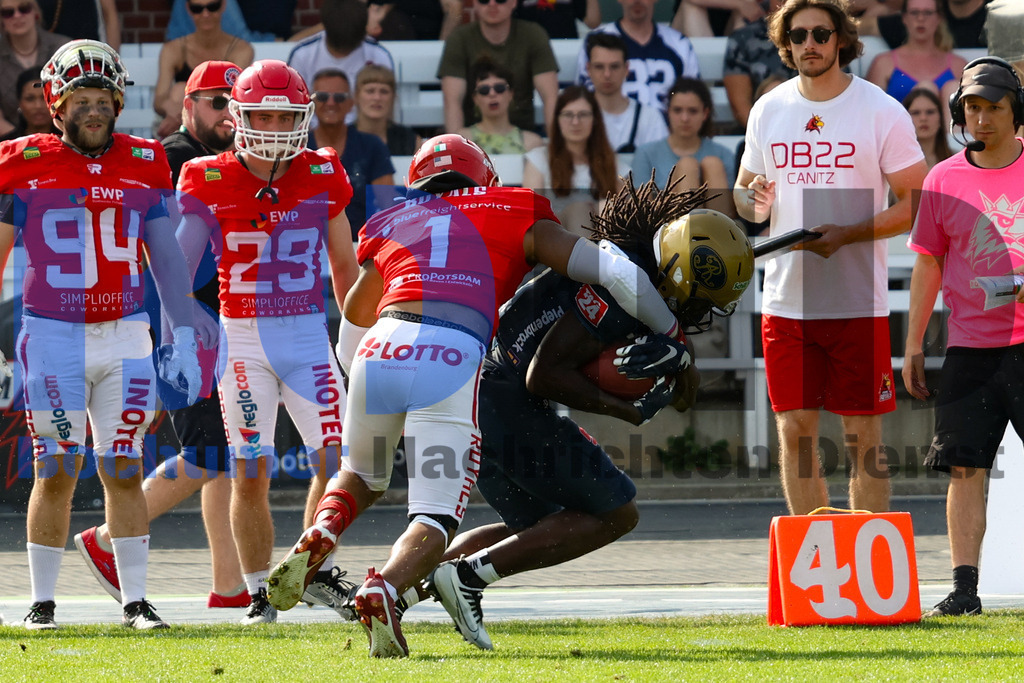 GFL: Potsdam Royals vs. Dresden Monarchs{date} -  | {headline}(Foto: Thomas Sobotzki / BOND) - Realisiert mit Pictrs.com