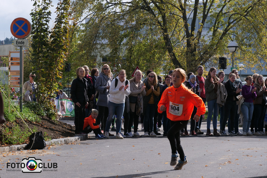 P1017517 | Foto Buchgraber