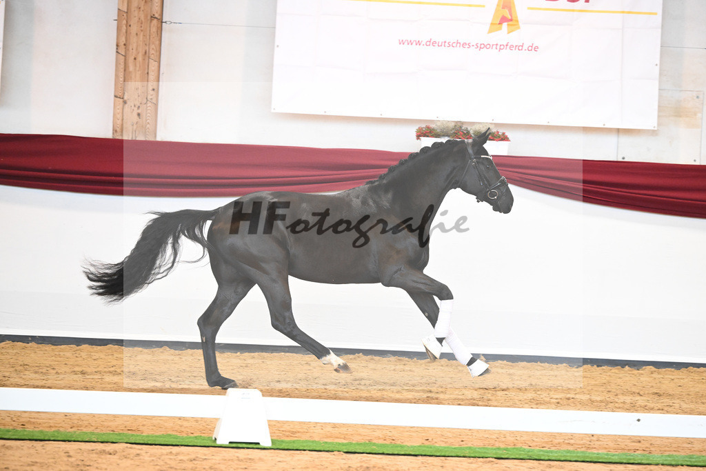 Kat-Nr. 30 v. Fantastic_Wilbers_66220416 | hf-fotografie - Realisiert mit Pictrs.com