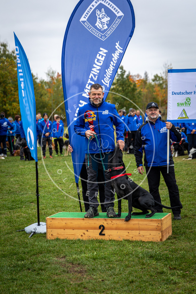 Pfotenfotografie_0L8A0471 | Hundefotografie, Tierfotograf, Pfotenfotografie, Fotoshooting Hund, Hunde Portrait, Hundesport, Hundeportraits, Heideshooting, Hunde, Sportfotograf, Hundefotograf, Turnierhundsport, THS,  - Realisiert mit Pictrs.com