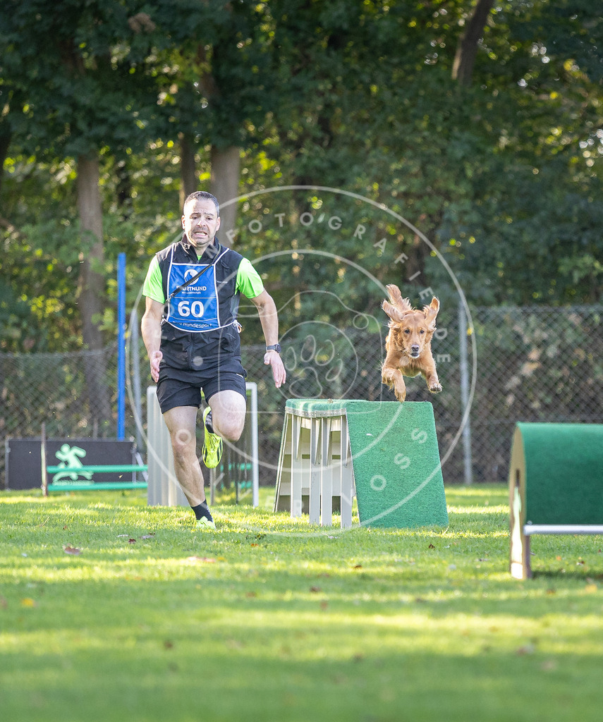 Pfotenfotografie.de_DV3A3661 | Hundefotografie, Tierfotograf, Pfotenfotografie, Fotoshooting Hund, Hunde Portrait, Hundesport, Hundeportraits, Heideshooting, Hunde, Sportfotograf, Hundefotograf, Turnierhundsport, THS, canicross - Realisiert mit Pictrs.com