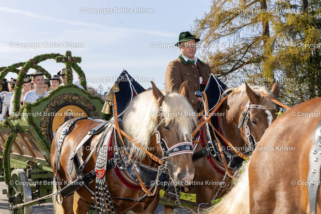 LBT24-1471 | foto-bettina-krinner - Realisiert mit Pictrs.com