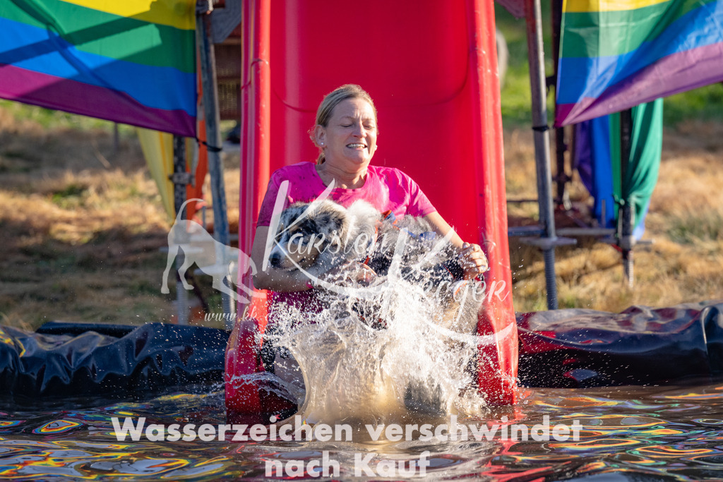 1751_ZZ92667 | kk-dogfotos