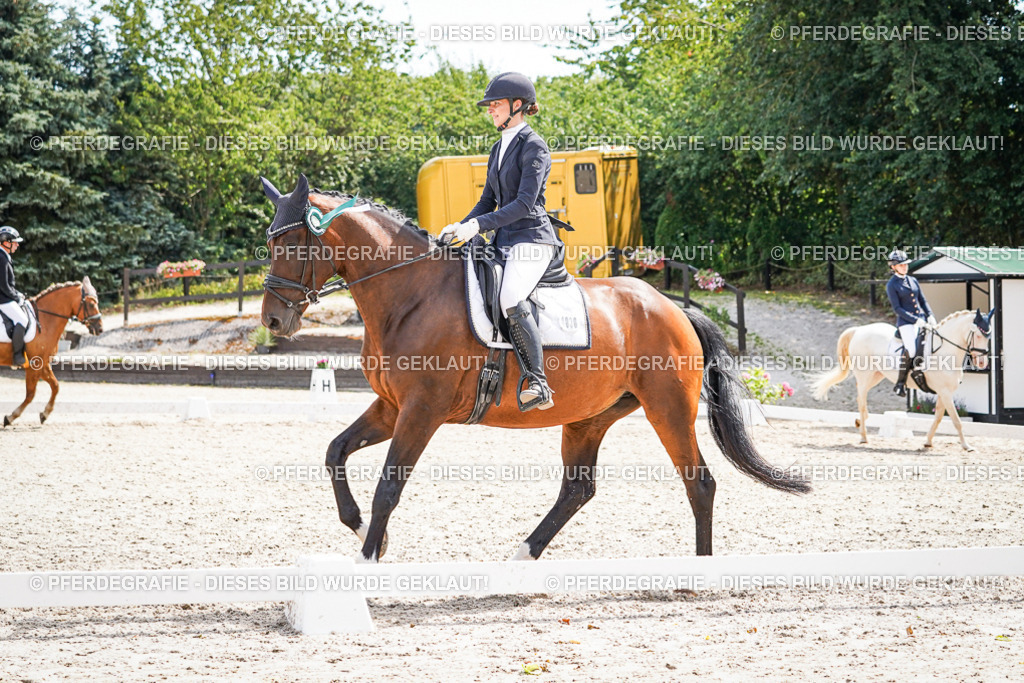 DSC02345 | Pferdegrafie