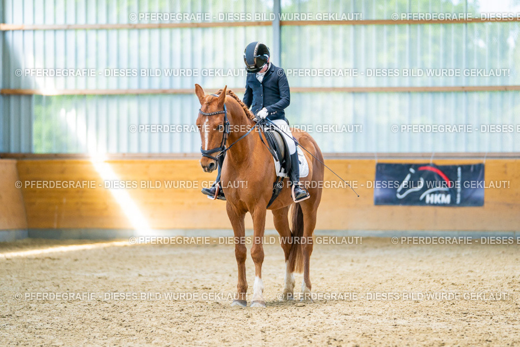 DSC08408 | Pferdegrafie