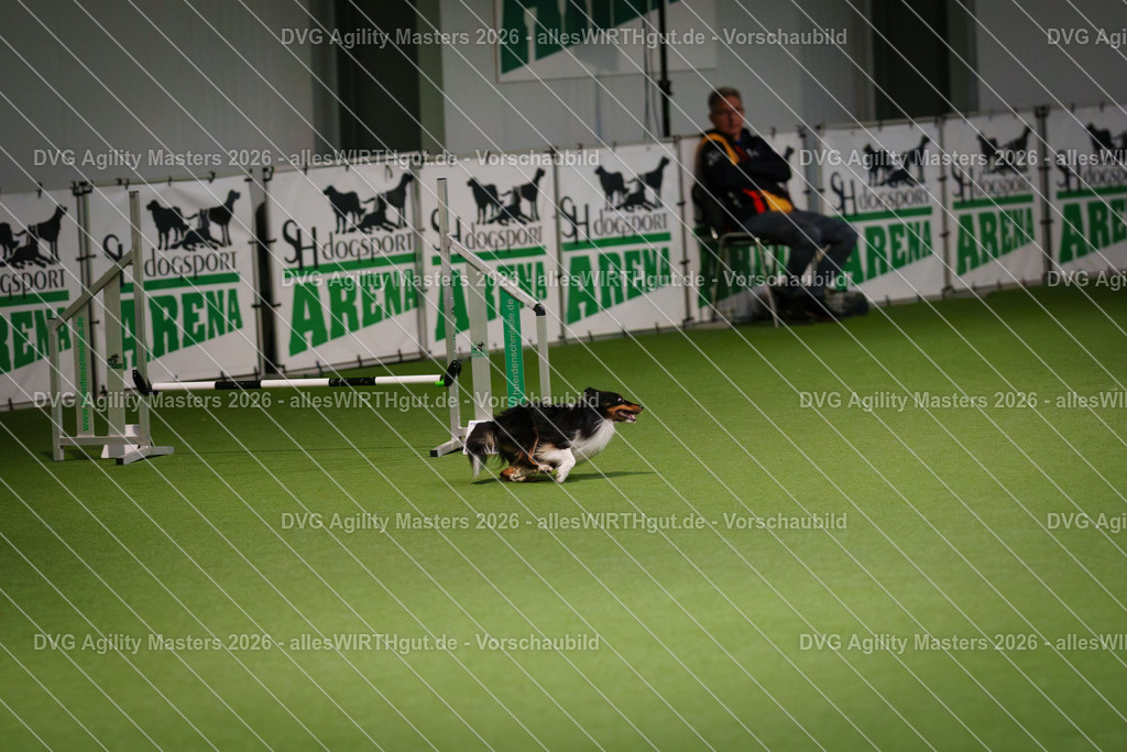 allesWIRTHgut_Tierfotografie-DVG_Agility_Masters_2026-08_08-7R507620 | Professionelle Tierfotografie in Mönchengladbach von Daniel Wirth (allesWIRTHgut). Liebevolle & natürliche Bilder von Hunden & Katzen für unvergessliche Erinnerungen.