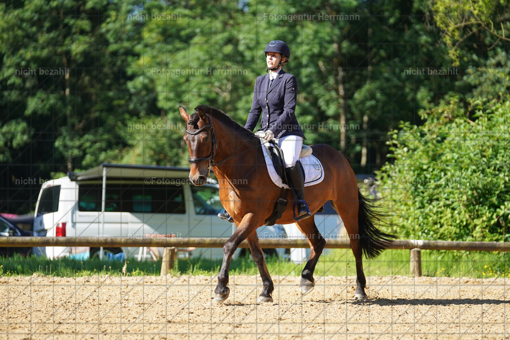 20240706-FAH04516 | Grafing Turnierfotos, Reitverein Ebersberg, Turnierfotografen Bayern, reitsportbilder, Pferdefotograf, reitsportfotograf, Sportbilder, Reitsportfotografie, Fotoagentur Herrmann, Turnierfotograf