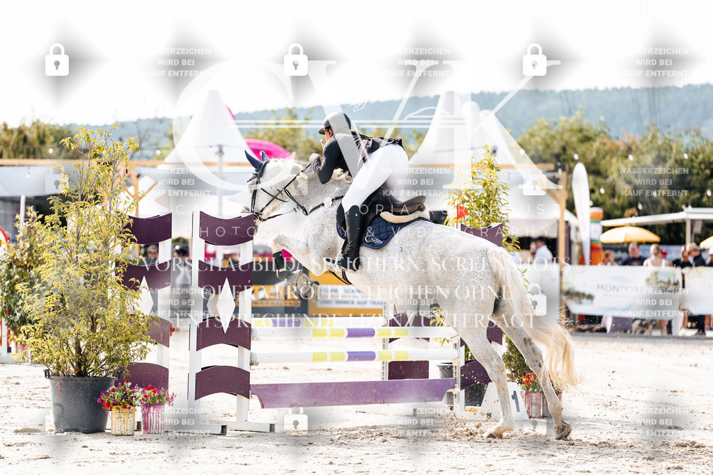 CK905482 | Turnierfotografie Pferdefotografie Trier Rheinland-Pfalz Pferdesport Reitsport Tierfotografie Sportfotografie Pferdevideo Pferdevideografie Equestrianvideography equestrianphotography  - Realisiert mit Pictrs.com