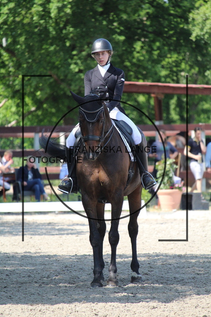 IMG_4940 | franziskalange - Realisiert mit Pictrs.com