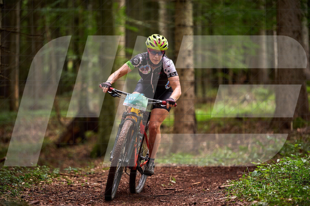 Betriebszentrum Laubenbachmühle, Frankenfels, Österreich - 13. September 2025: Dirndltal Race - Fun und Trophy RaceFotograf: Martin Bihounek / martinbihounek.com | 13. September 2025 Betriebszentrum Laubenbachmühle, Frankenfels, Österreich : Dirndltal Race - Fun und Trophy Race •••••Photo by: Martin Bihounek / martinbihounek.comInsta: @martinbihounekcom