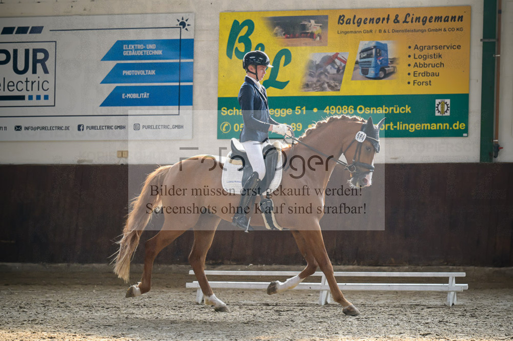 Reitturnier Voxtrup | Entdecke hochwertige Reitturnierfotos von Foto Oger. Professionell, emotional und authentisch – jetzt Lieblingsmomente im Shop bestellen.Deutschlandweite Turnierfotografie. - Realisiert mit Pictrs.com