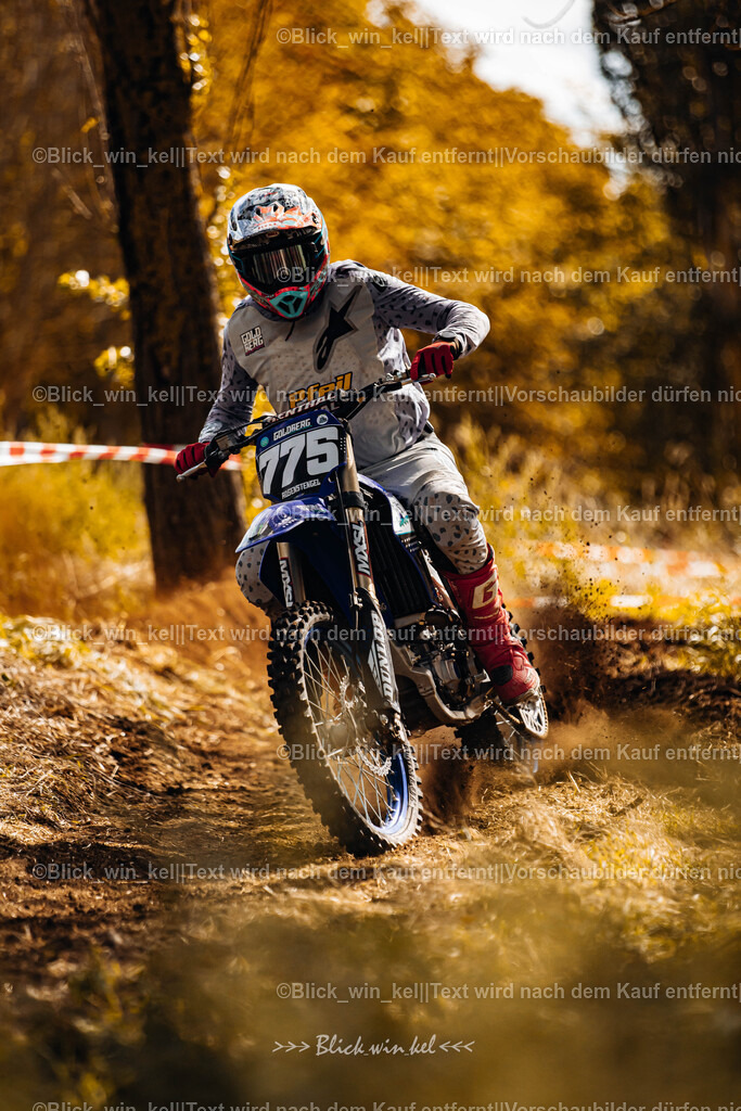 E68A2391 | blick_win_kel