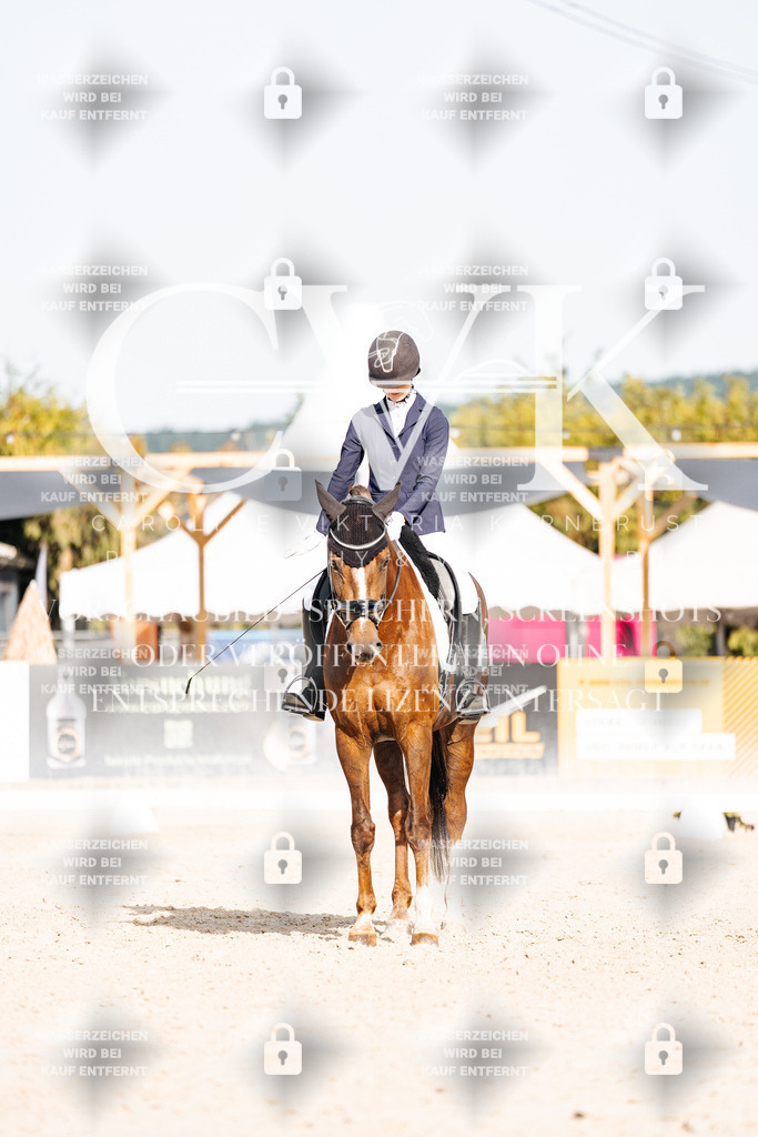 CK905114 | Turnierfotografie Pferdefotografie Trier Rheinland-Pfalz Pferdesport Reitsport Tierfotografie Sportfotografie Pferdevideo Pferdevideografie Equestrianvideography equestrianphotography  - Realisiert mit Pictrs.com