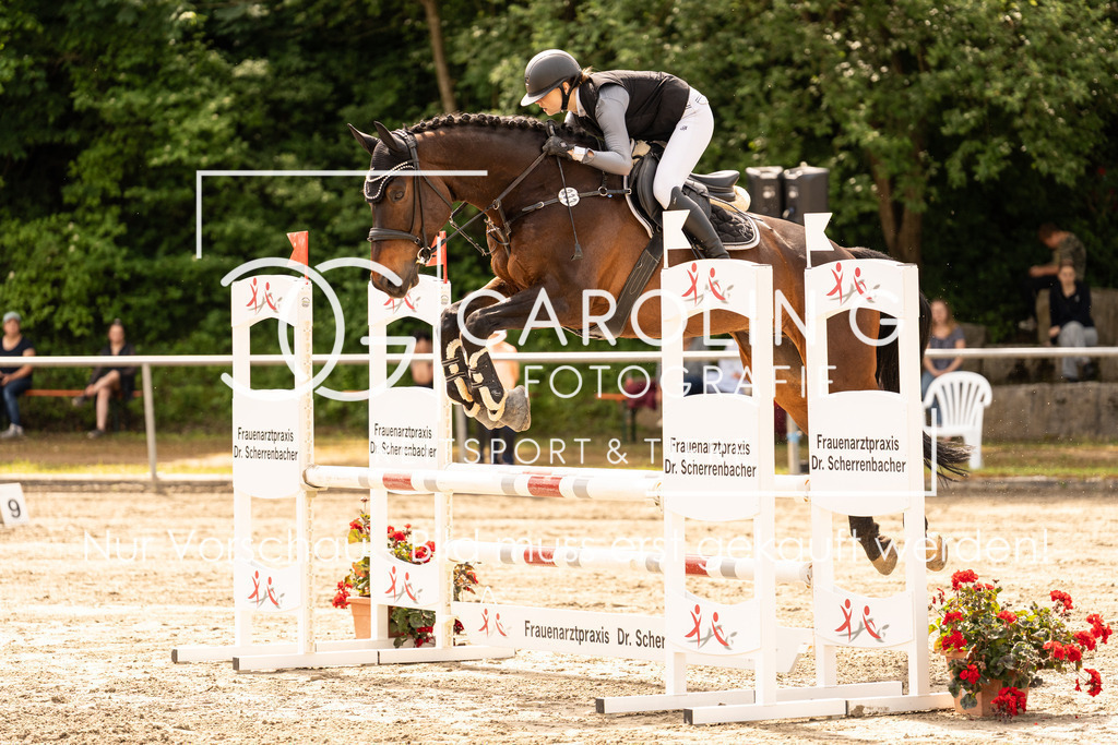 DSC02397 | Carolin Gieschke