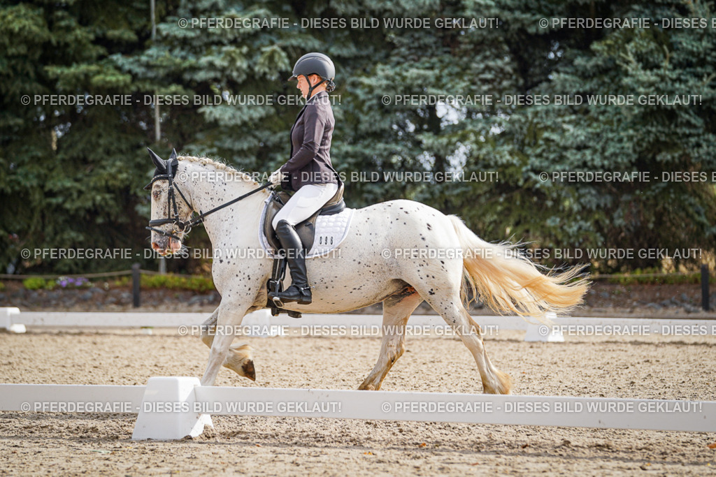 DSC01035 | Pferdegrafie