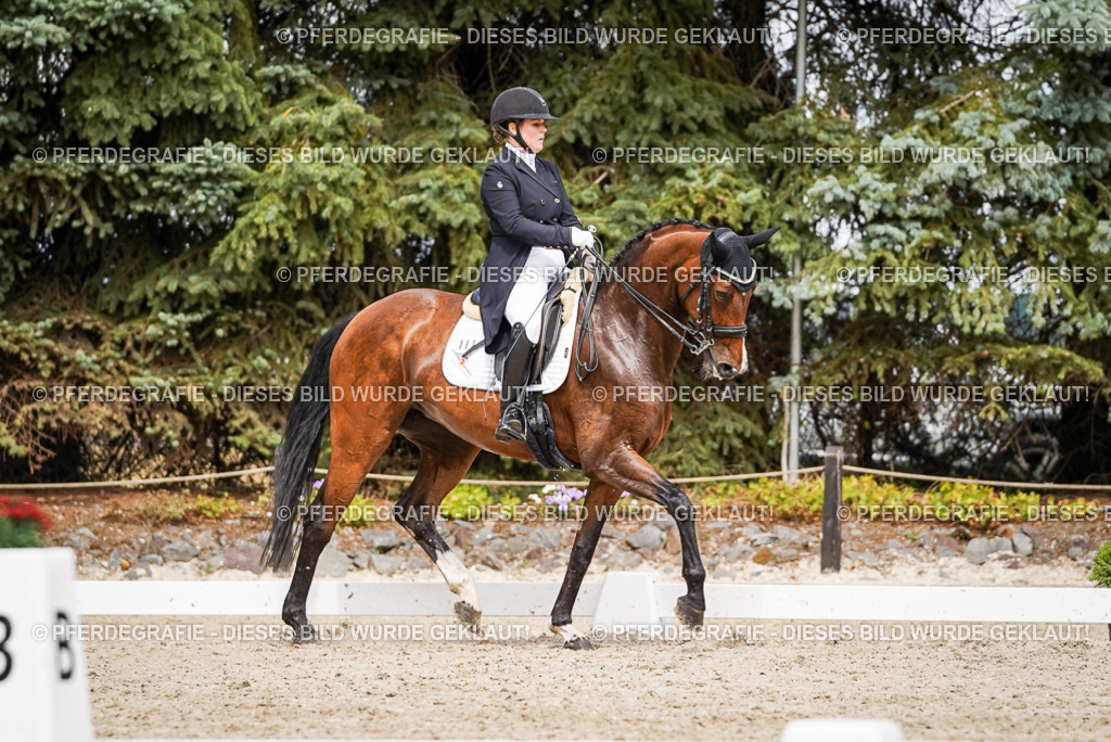 DSC06605 | Pferdegrafie