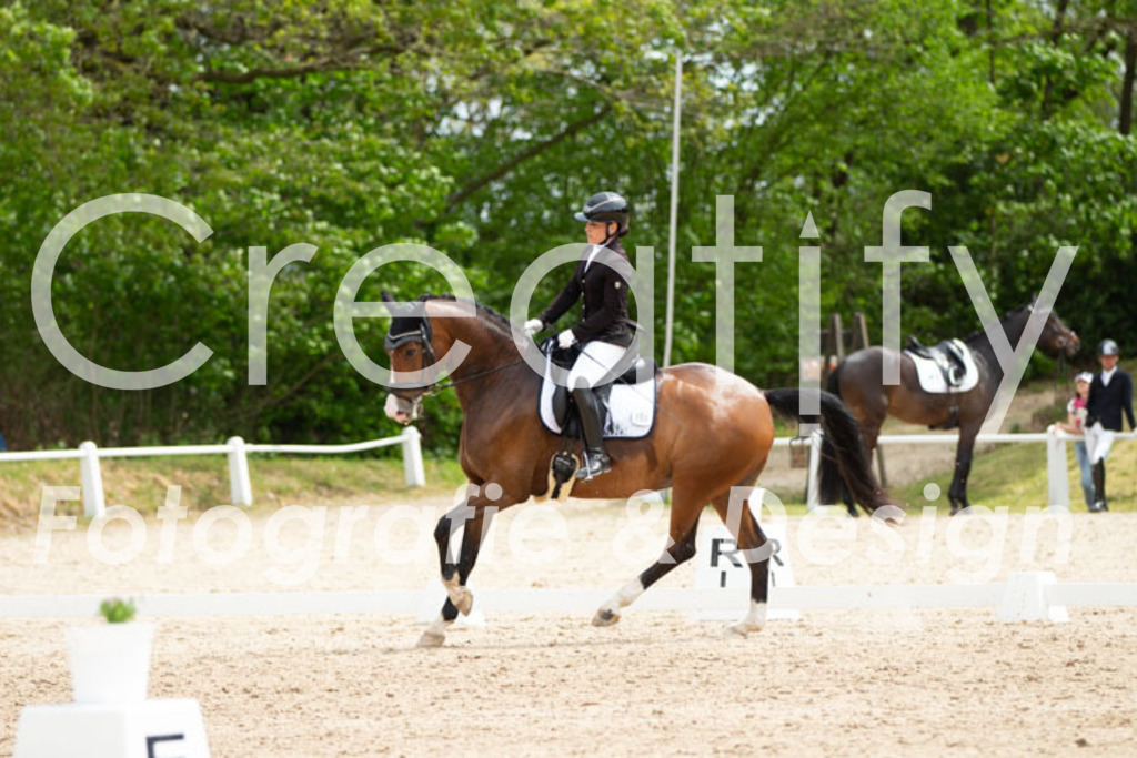 IMG_2842 | Creatify Fotografie