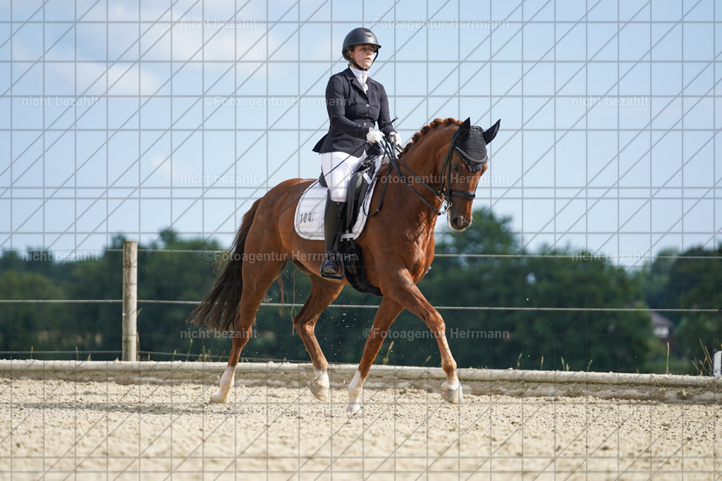 20230826-FAH06147 | Forstinning, 2023, Dressurturnier, Turniersportbilder, Turnierfotografen Bayern, Fotoagentur Herrmann, Reitsportfotografie, Turnierbilder