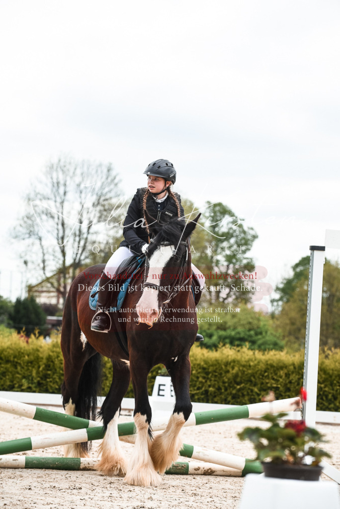 20230518_JK-Röhrsdorf-10-370 | Pferde- und Turnierfotografie in Westsachsen. Pferdeportraits, Auftragszeichnungen und intuitive Kunst.