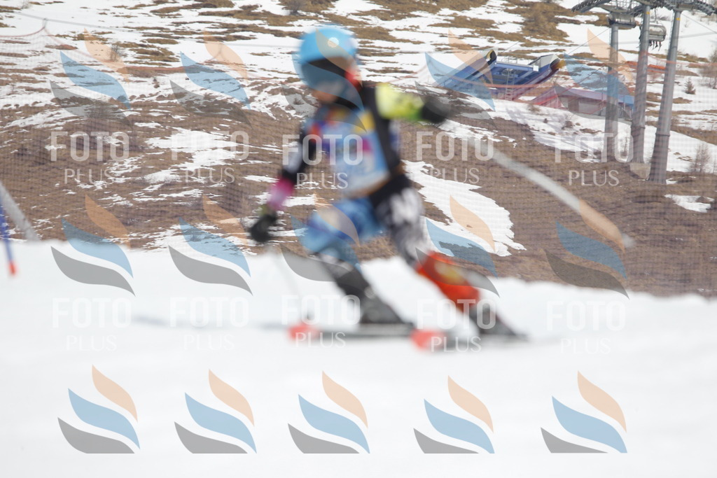 _U3G2720 | holidayphoto